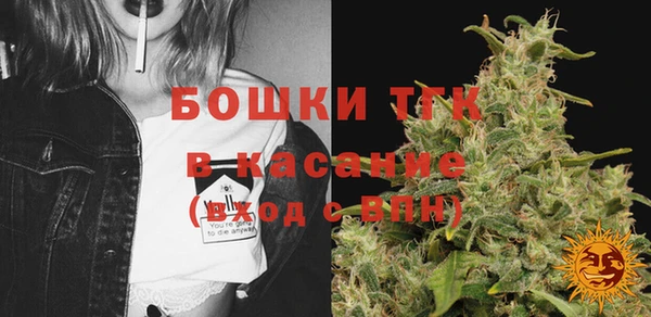 PSILOCYBIN Армянск