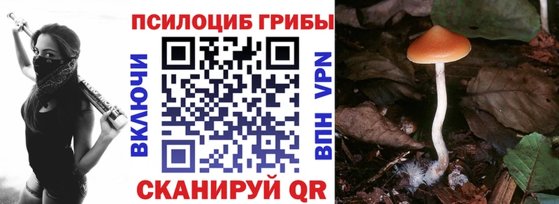 сколько стоит  Тайшет  Псилоцибиновые грибы GOLDEN TEACHER 